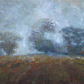 Fall Mist