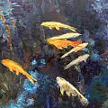 Koi