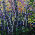 Birch Folly
